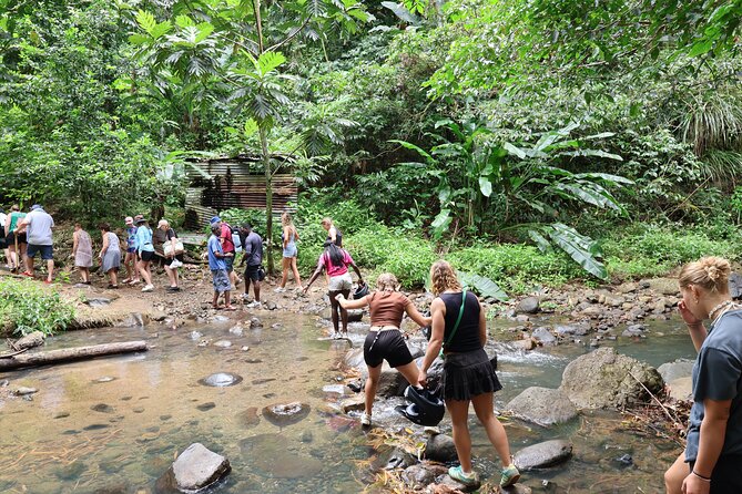 St Lucia ATV Tour : Waterfall, Plantation, Beach and Distillery - Riding the beach and stopping at Clive’s
