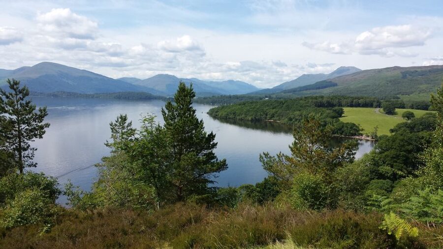 Stirling Castle, Highland Lochs & Whisky Tour from Edinburgh - The guide can make or break the day