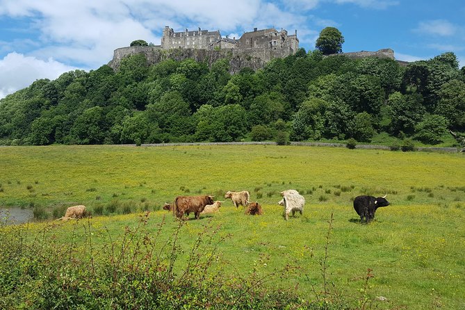 Stirling Castle, Trossachs, Loch Lomond and Whisky Tour - Why this route works from Glasgow