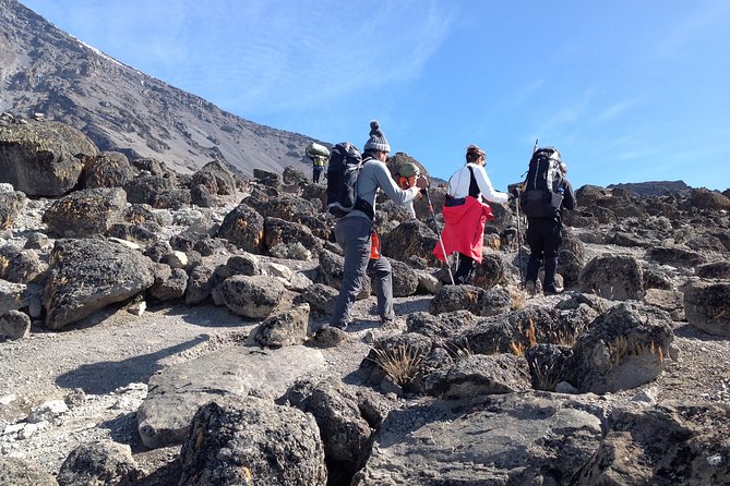 The best 6-Days Kilimanjaro hiking (Machame route)whiskey route - Day 2: Shira Cave and wide mountain views