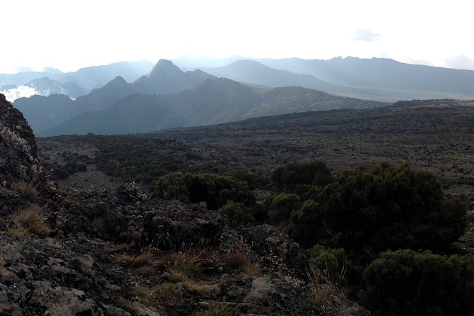 The best 6-Days Kilimanjaro hiking (Machame route)whiskey route - Day 6: Descent through forest to Mweka Gate