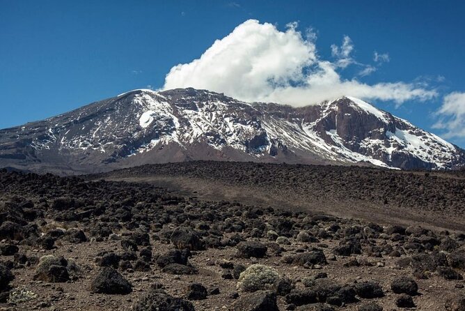 The best 6-Days Kilimanjaro hiking (Machame route)whiskey route - Guides, crew, and the private-tour advantage