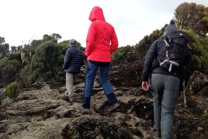 The best 6-Days Kilimanjaro hiking (Machame route)whiskey route - Day 1: Machame Gate to the first forest camp