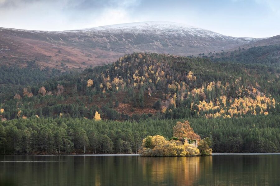 The Cairngorms, Culloden, and Speyside Whisky Tour - Clava Cairns, Bronze Age Scotland, and Outlander