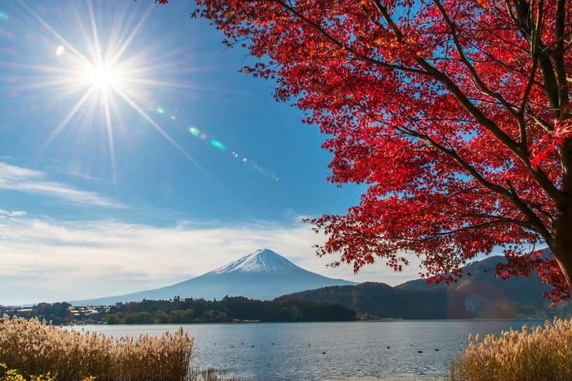 Tokyo: Mt. Fuji 5th St. & Hakushu Distillery Whisky Museum - From Tokyo to Mt. Fuji by coach