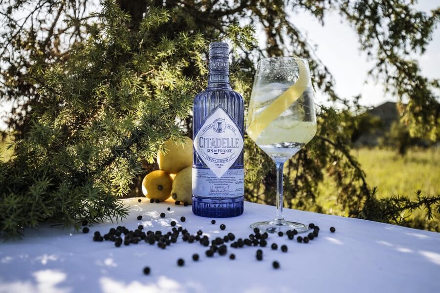 Visit Citadelle Gin Distillery - What the Price Includes at $17