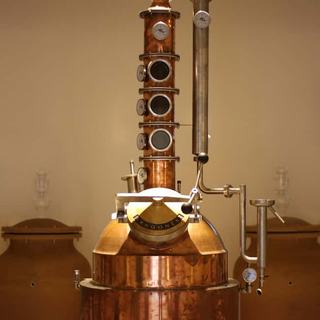 Visit the distillery of Ischia island - Why the local ingredients matter