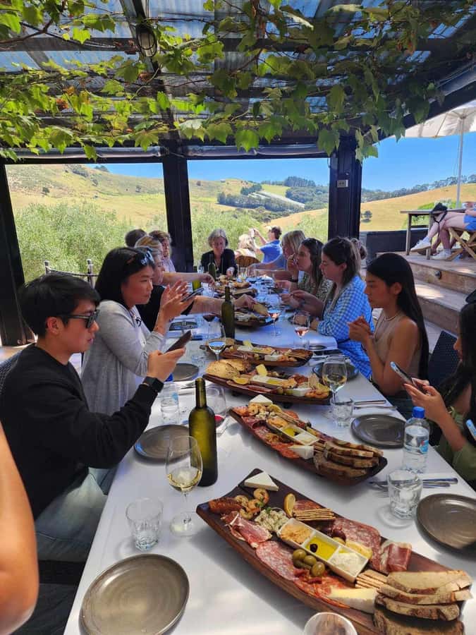 Waiheke: Scenic Taste and Graze Tour with Wine, Whisky, Beer - Who should book this Waiheke tour?