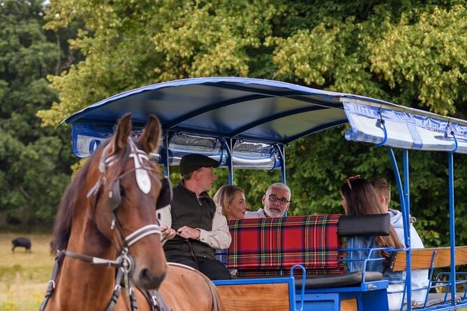 Whiskey & Wonders in Killarney - Key points to know before you book