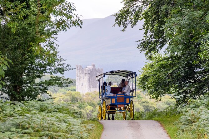 Whiskey & Wonders in Killarney - Why the jaunting car is the right way to see Killarney