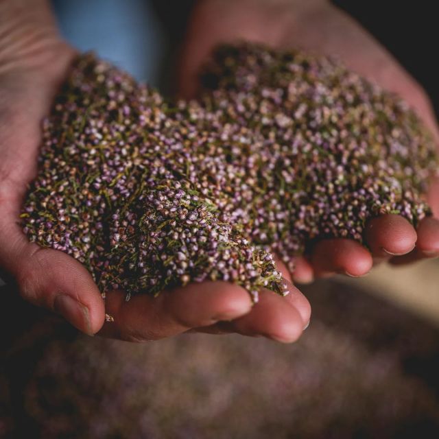 Whitby: Guided Distillery Tour with Gin Tasting - Timing, access, and booking details