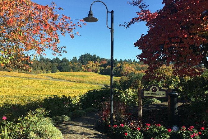 Willamette Valley Wine & Whisky - The $199 Question: Where the Money Goes