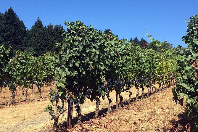 Willamette Valley Wine & Whisky - Small Groups and Guide Quality
