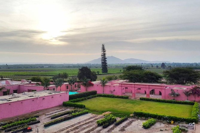 Winery and Pisco Distillery tour - Why a pisco tour belongs on your Ica itinerary