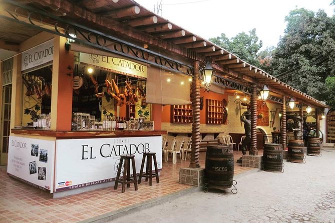 Winery and Pisco Distillery tour - Starting at Tacama, Ica’s grand winery visit