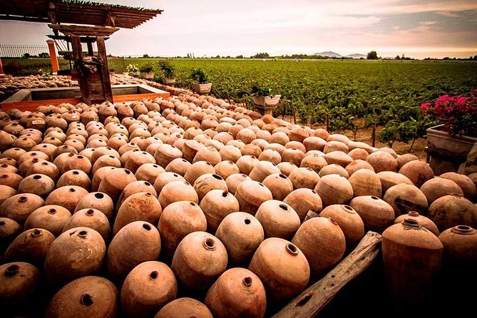 Winery and Pisco Distillery tour - Transport from Ica or Huacachina