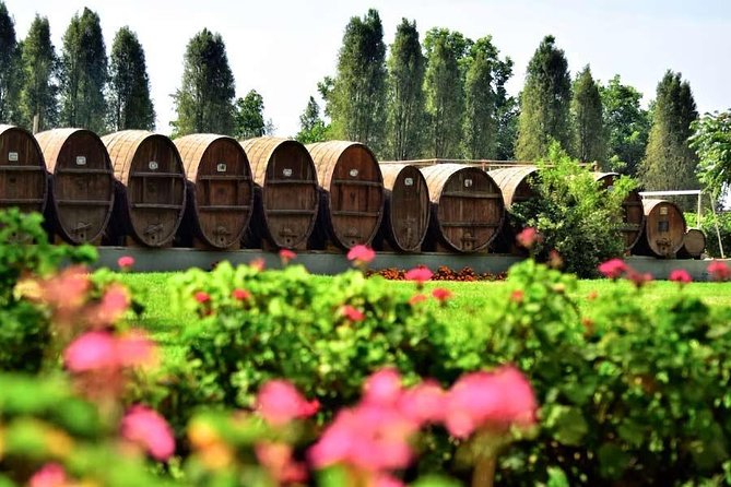 Winery and Pisco Distillery tour - Tastings, lunch, and how to pace yourself