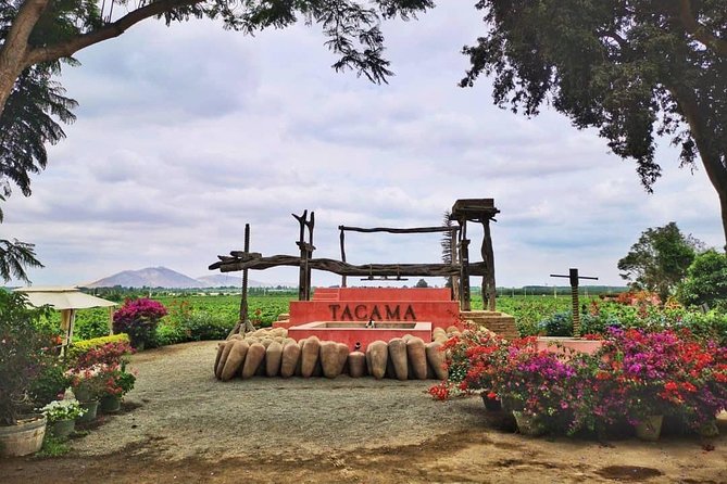 Winery and Pisco Distillery tour - Bodega Nietto and four generations of family production