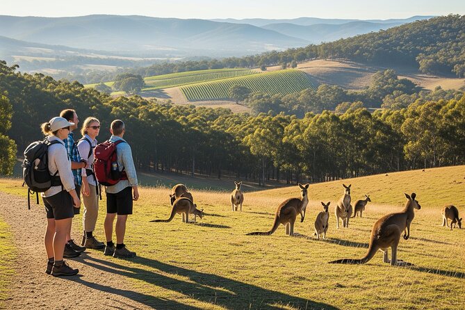 Yarra Valley by night! Private wine, whisky and dinner tour - A Yarra Valley evening built around tasting