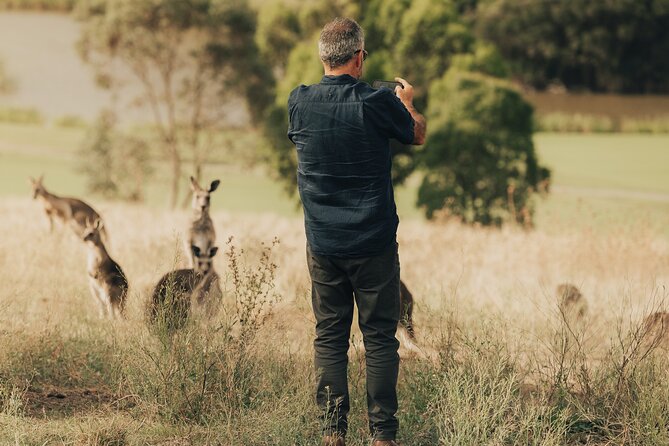 Yarra Valley by night! Private wine, whisky and dinner tour - Timing, tickets and practical details