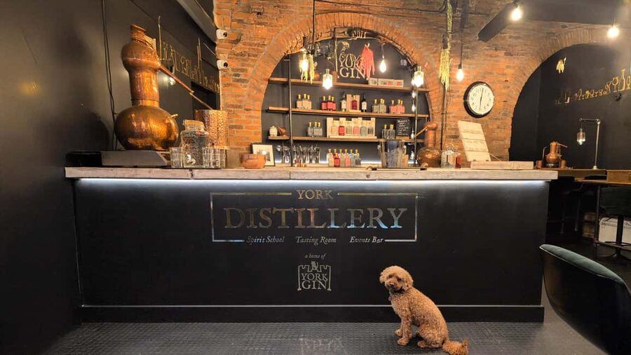 York: Gin Tasting Experience at York Distillery - What the up-to-five samples add